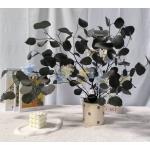 Preserved Hydrangea Potted Plant